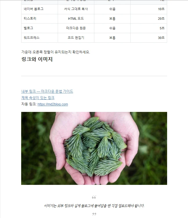 네이버 에디터에 붙여넣은 링크와 외부 이미지